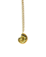 Seashell Necklace